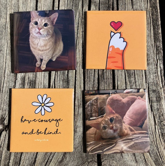 Photo Magnets Set of 04